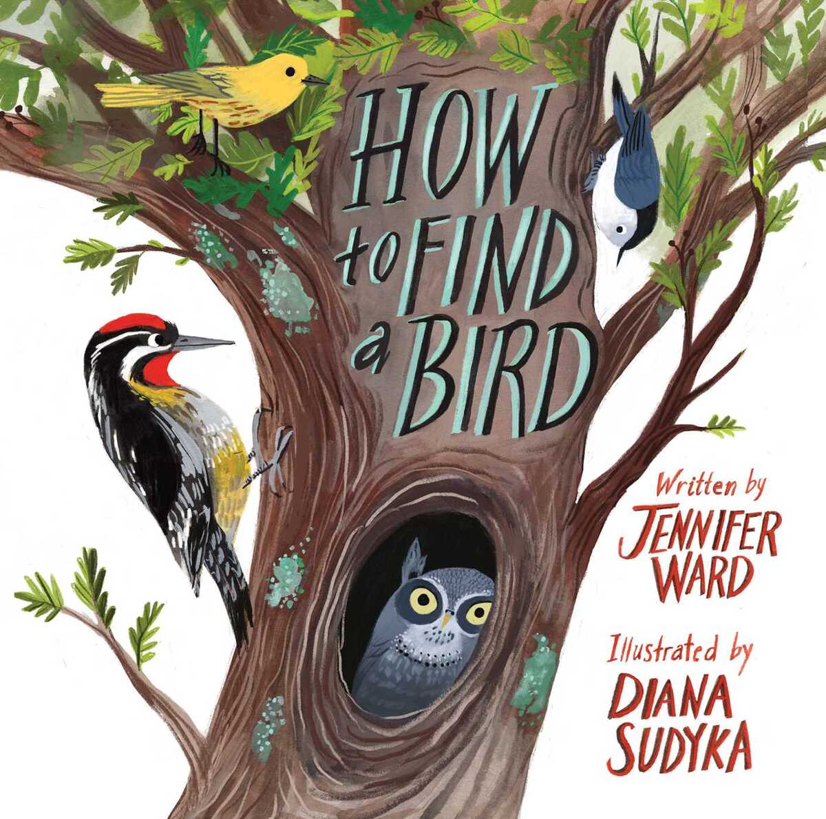 Cover of How To Find a Bird by Jennifer Ward